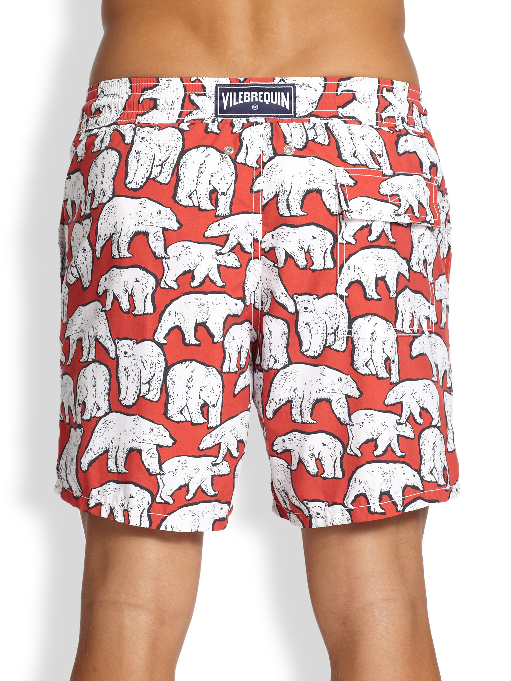 bear swim trunks