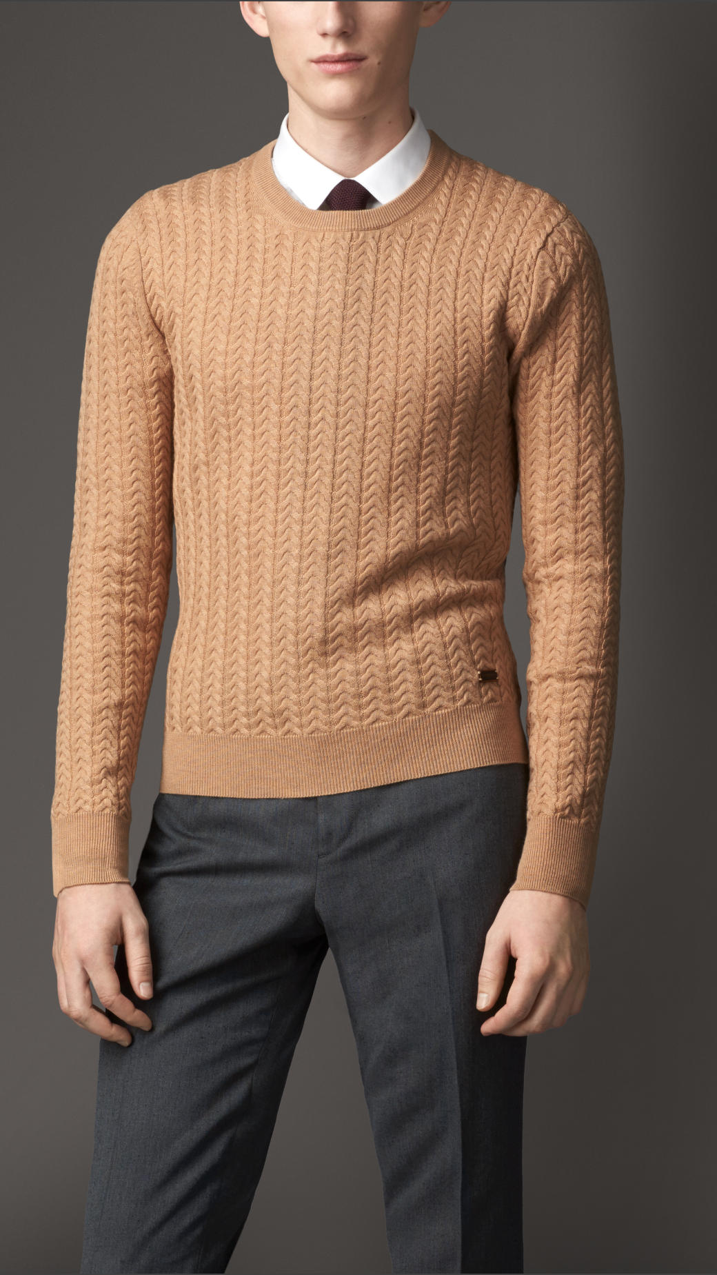 camel cashmere sweater mens