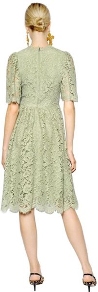 Dolce & Gabbana Cordonetto Cotton Lace Dress in Green (LIGHT GREEN) | Lyst