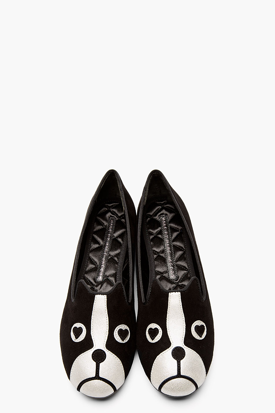 boston terrier flats