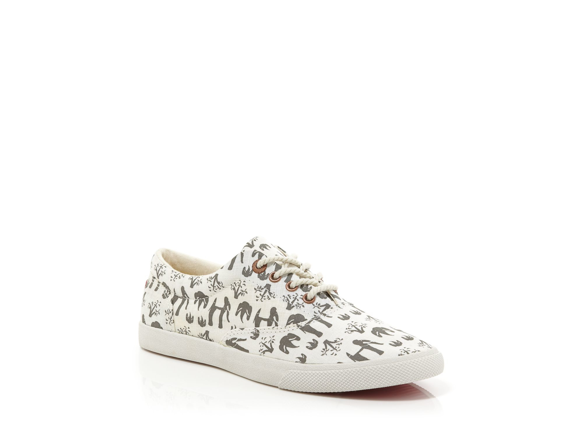 Bucketfeet Flat Lace Up Sneakers 