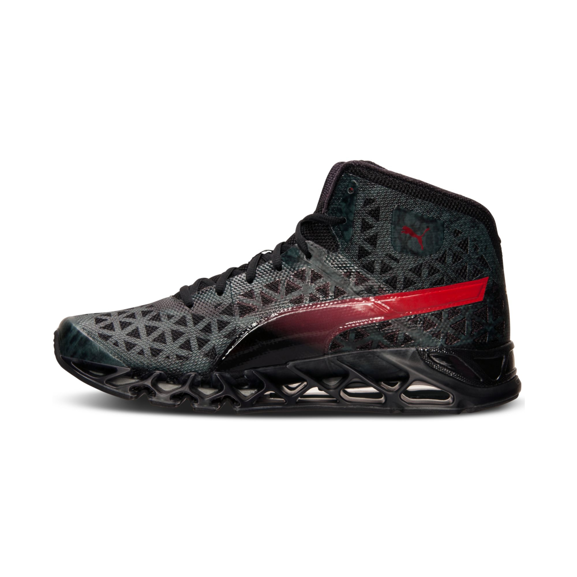 Finish line puma 6 online