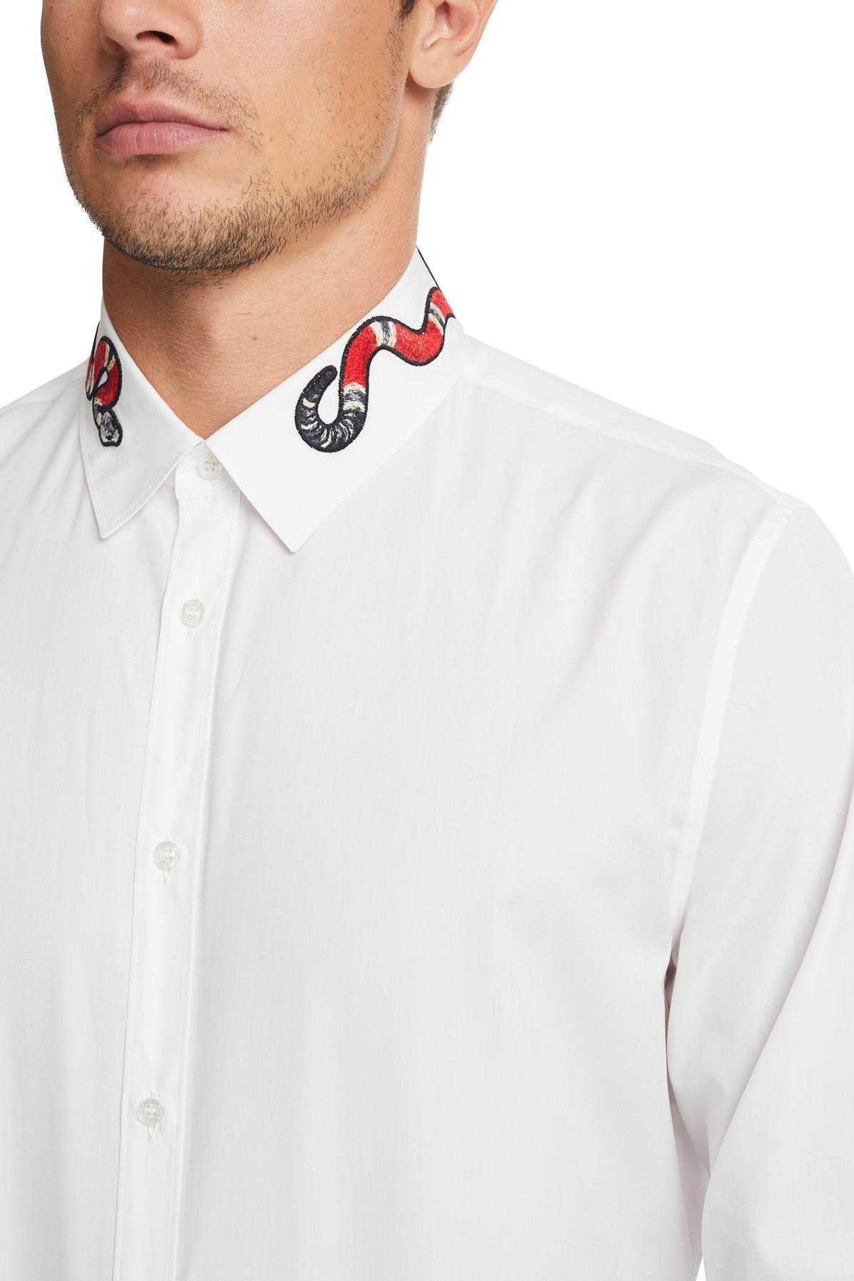 Gucci Cotton Duke Snake Collar Shirt in White for Men | Lyst