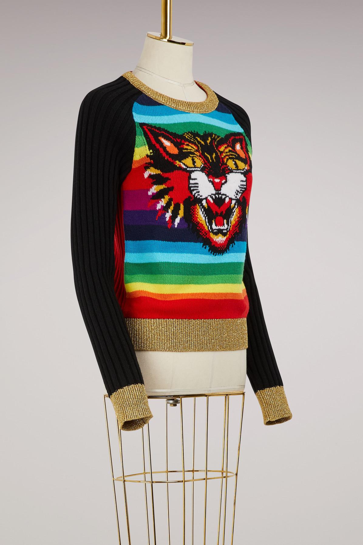 Angry Cat In Sweater
