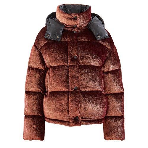 caille moncler
