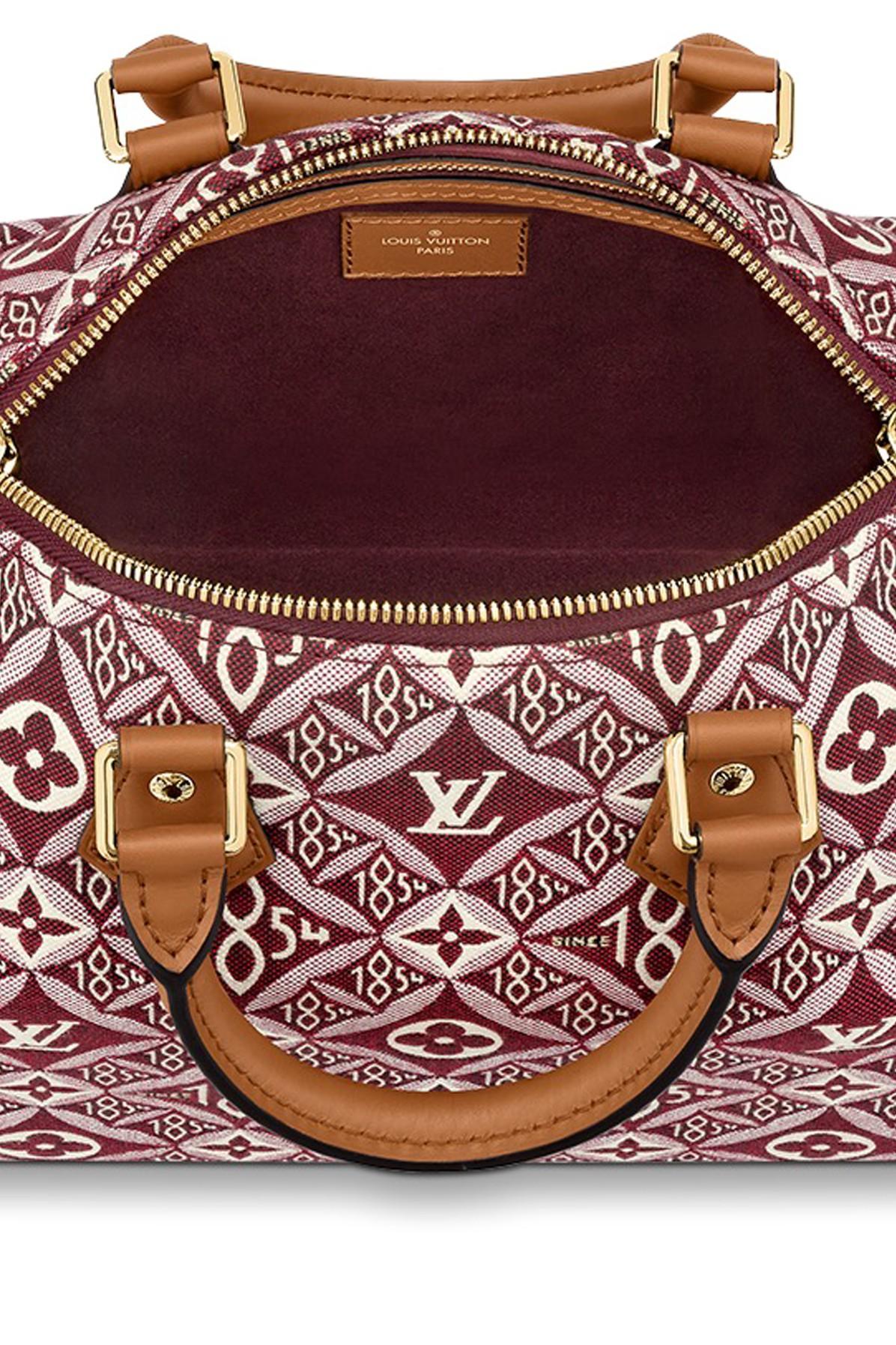 Louis Vuitton Speedy 25 – The Brand Collector