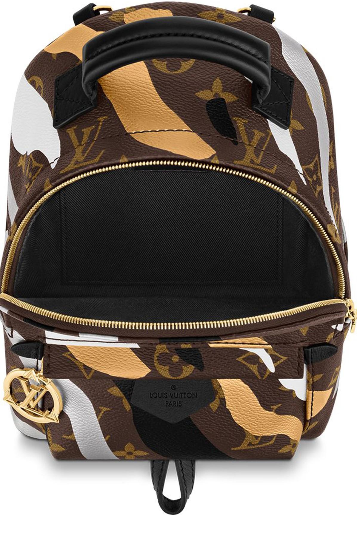 Louis Vuitton LVxLoL Palm Springs Mini Backpack Brown Cloth ref.245029 -  Joli Closet