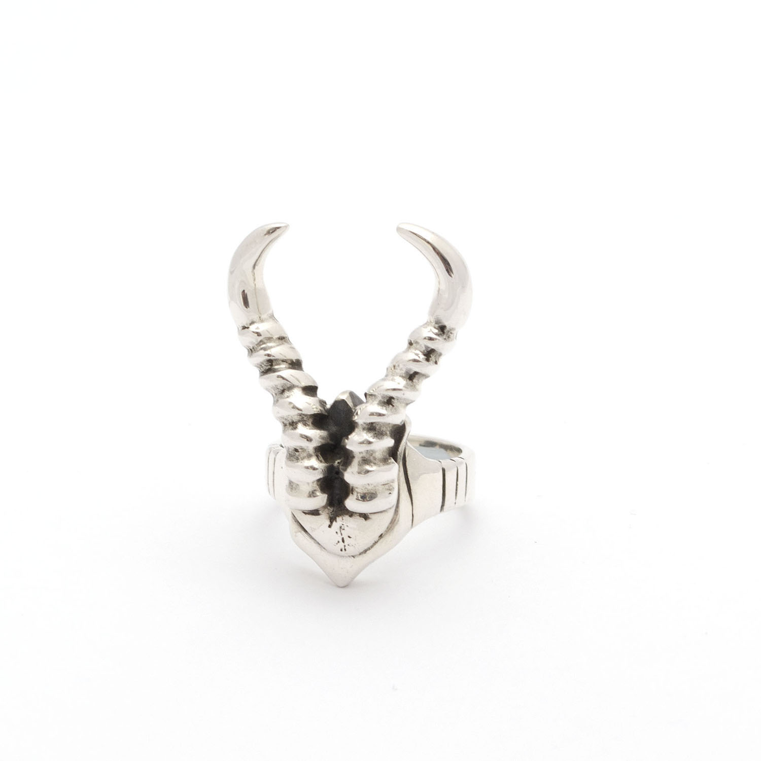 The Wildness Jewellery Springbok Horns Ring in Metallic | Lyst
