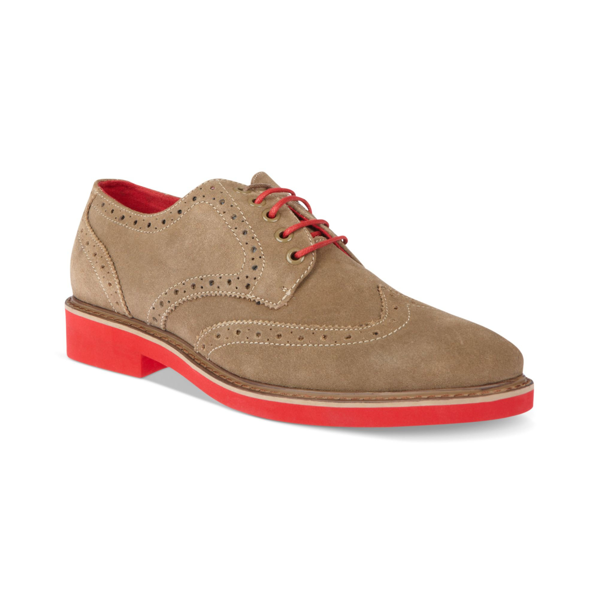 steve madden wingtip