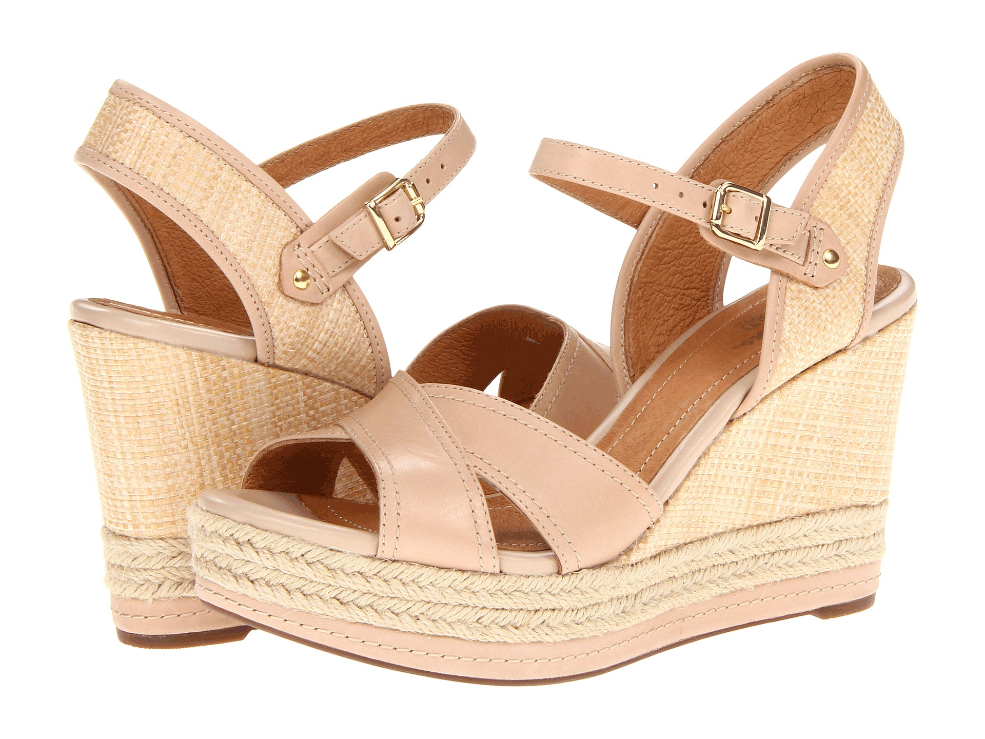 clarks amelia