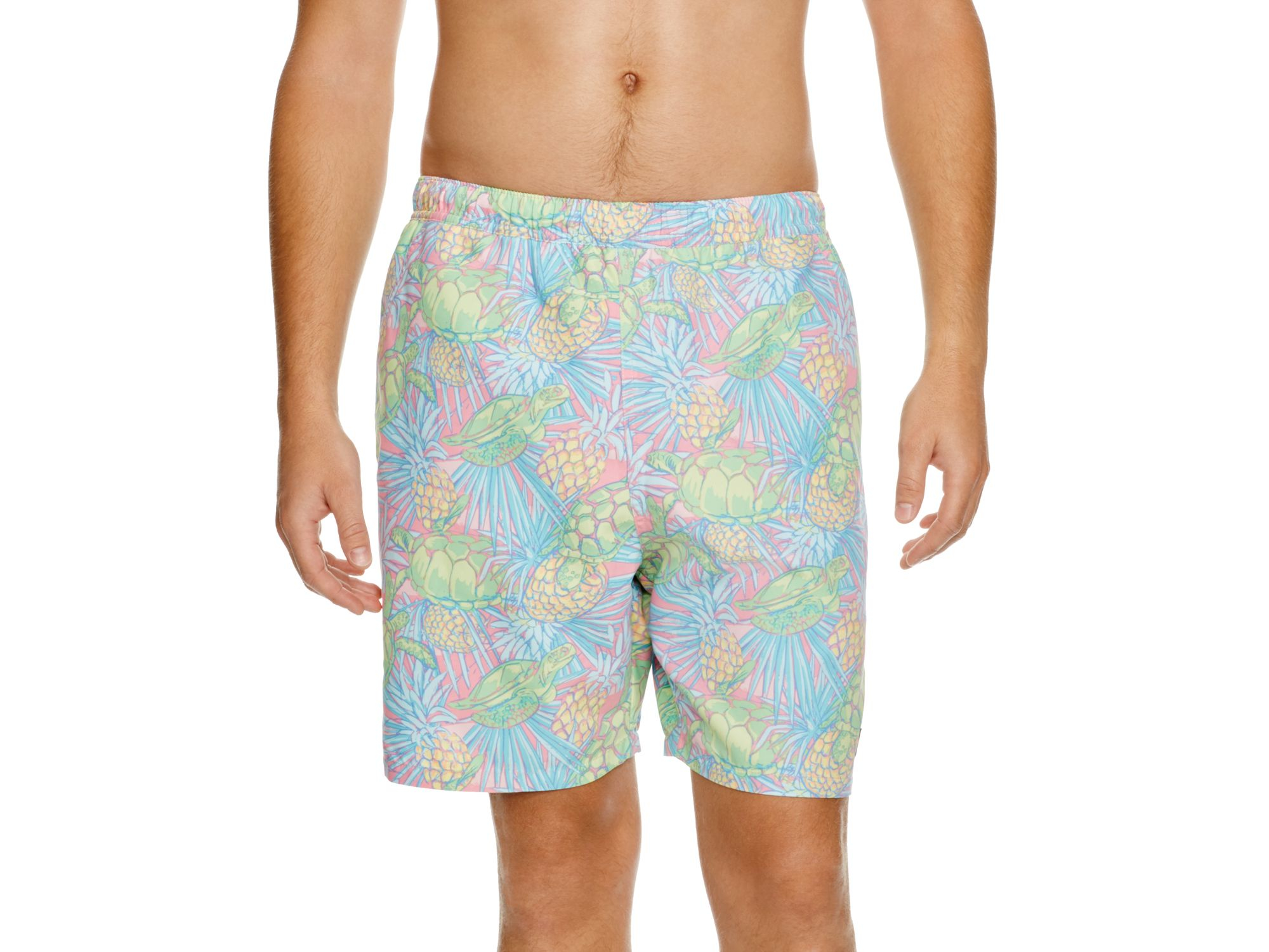 mens vineyard vines bathing suit