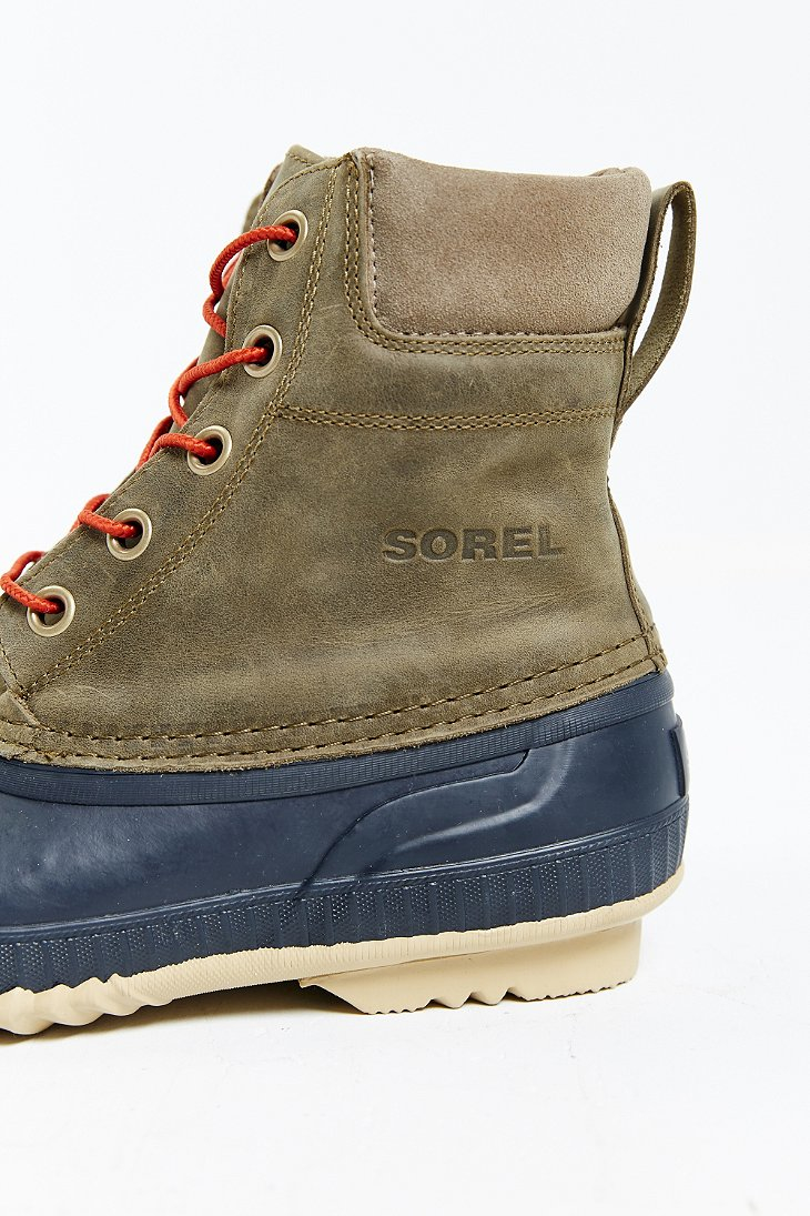 sorel olive