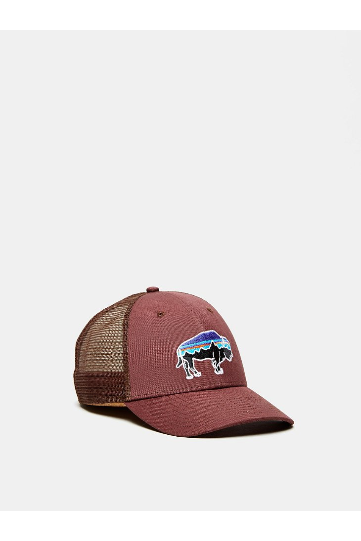 Patagonia Fitz Roy Bison Low Profile Trucker Hat in Brown for Men | Lyst