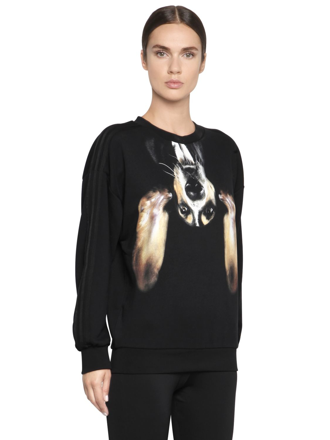 adidas sweatshirt for dogs