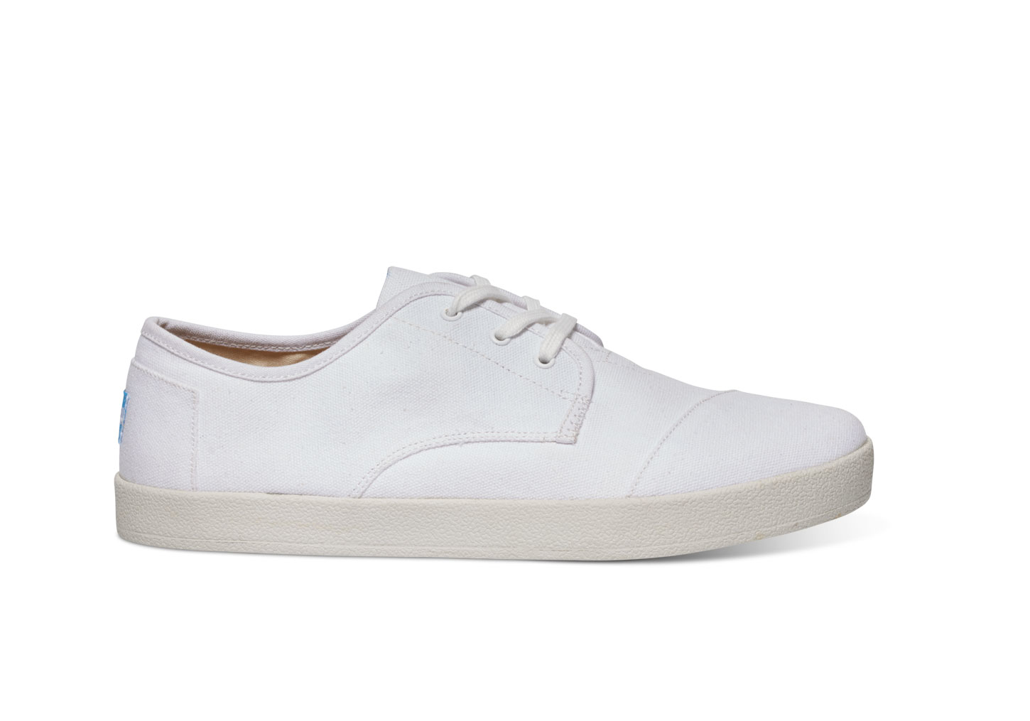 toms white canvas