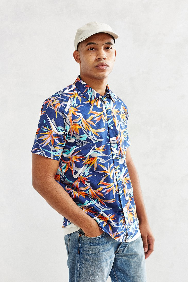 patagonia button down shirts
