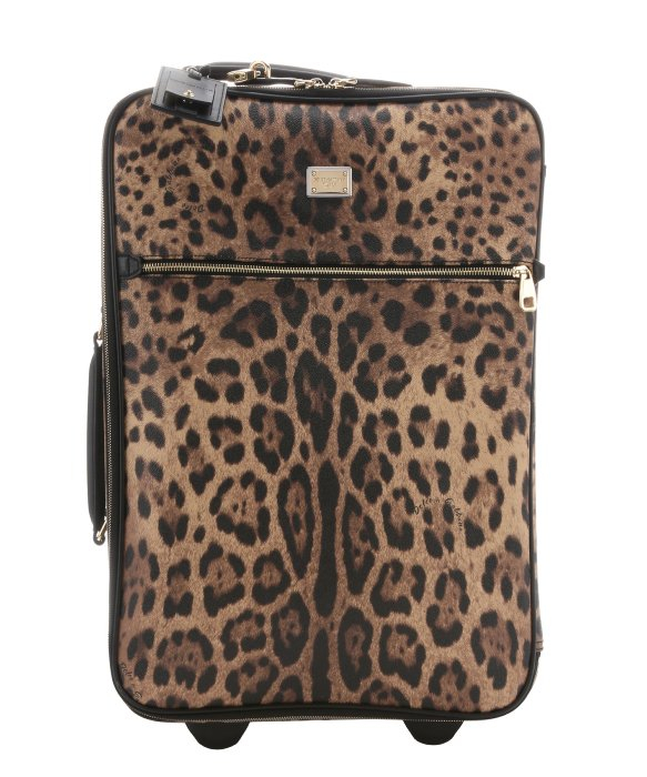 Dolce & gabbana Leather Trimmed Leopard Print Coated Canvas Rolling