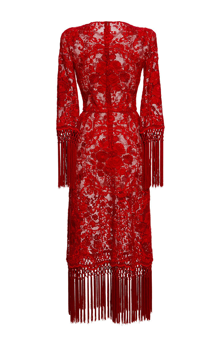 Lyst - Dolce & gabbana Rose Embroidered Netted Dress With Fringe Trim ...
