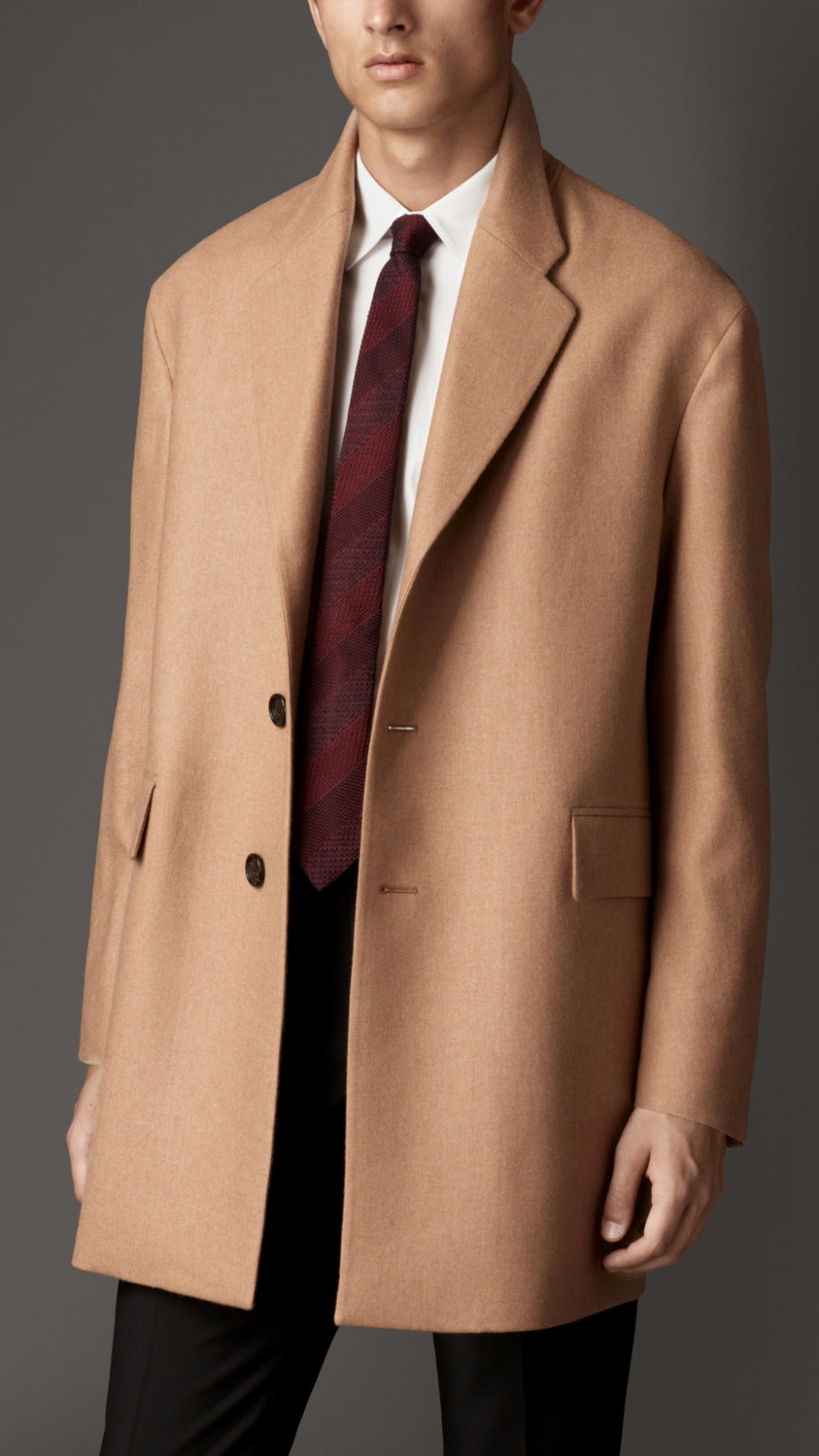 Burberry Camel Hair Coat in Brown for Men | Lyst