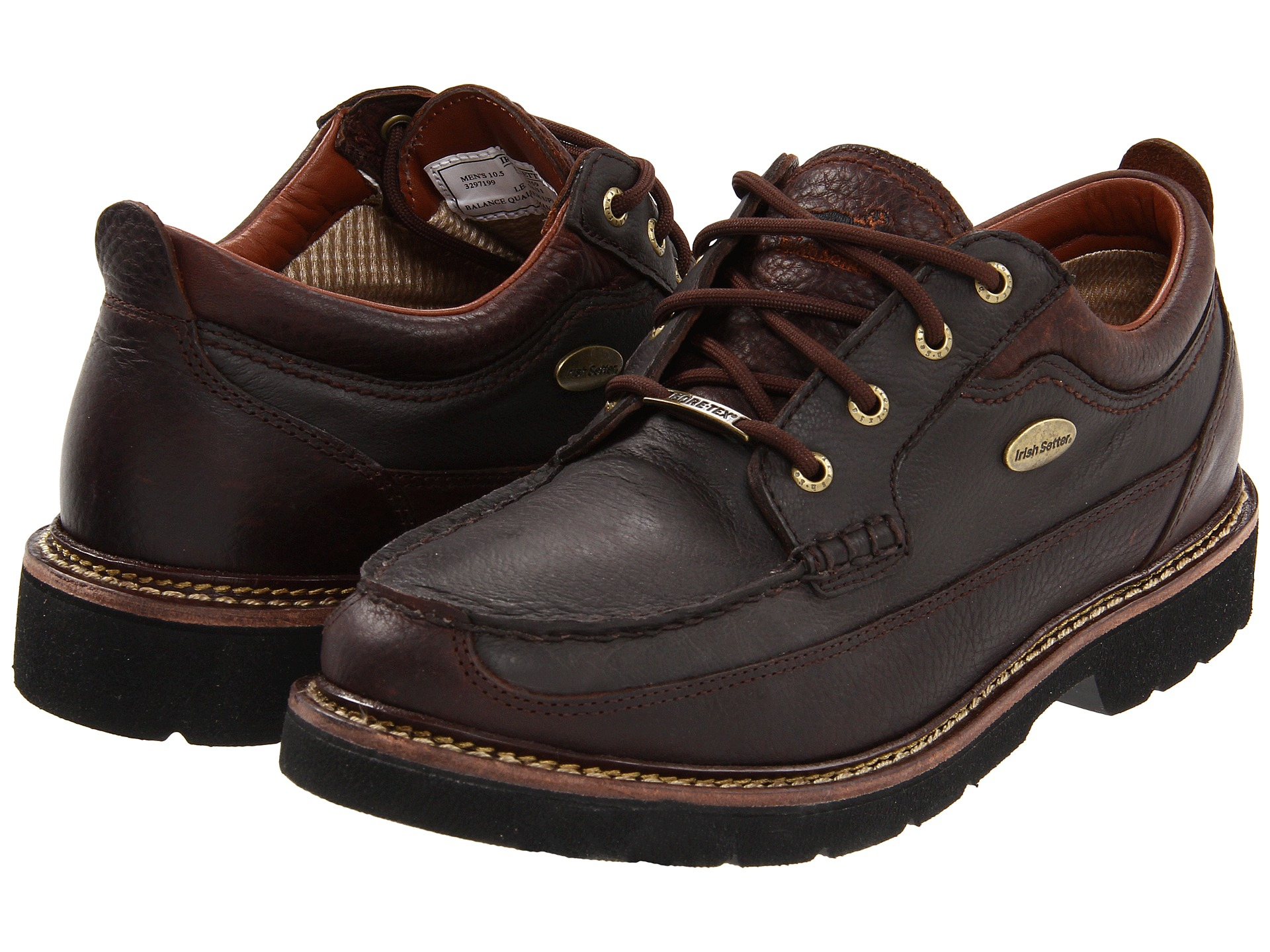 Irish cheap setter oxford