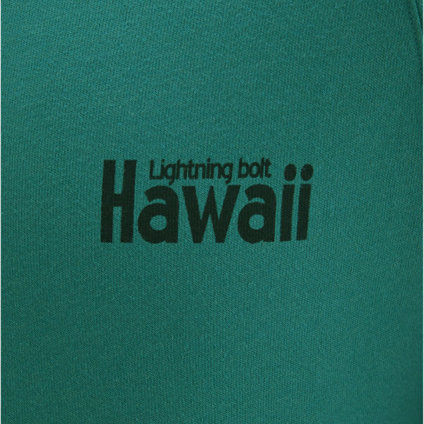 Lightning Bolt Hawaii Stripe Wave Fleece Pullover Hoody