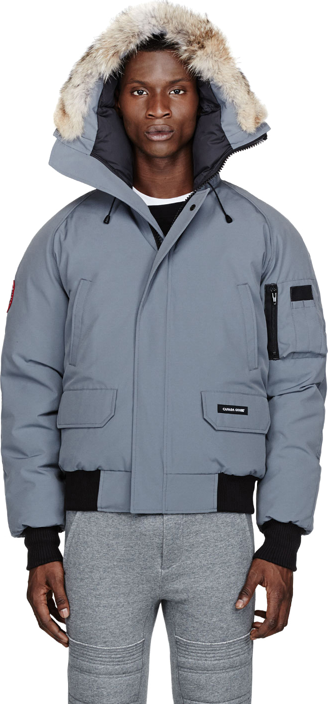 canada goose chilliwack bomber light grey