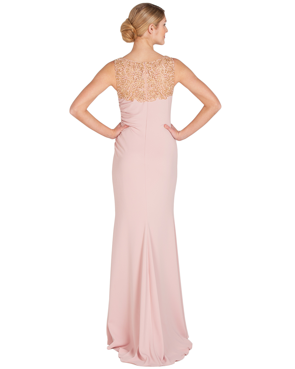 Badgley mischka Beaded Yoke Evening Gown in Pink (Blush) Badgley mischka Beaded Yoke Evening Gown in Pink (Blush)