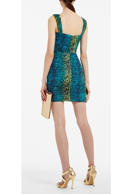 bcbg cocktail