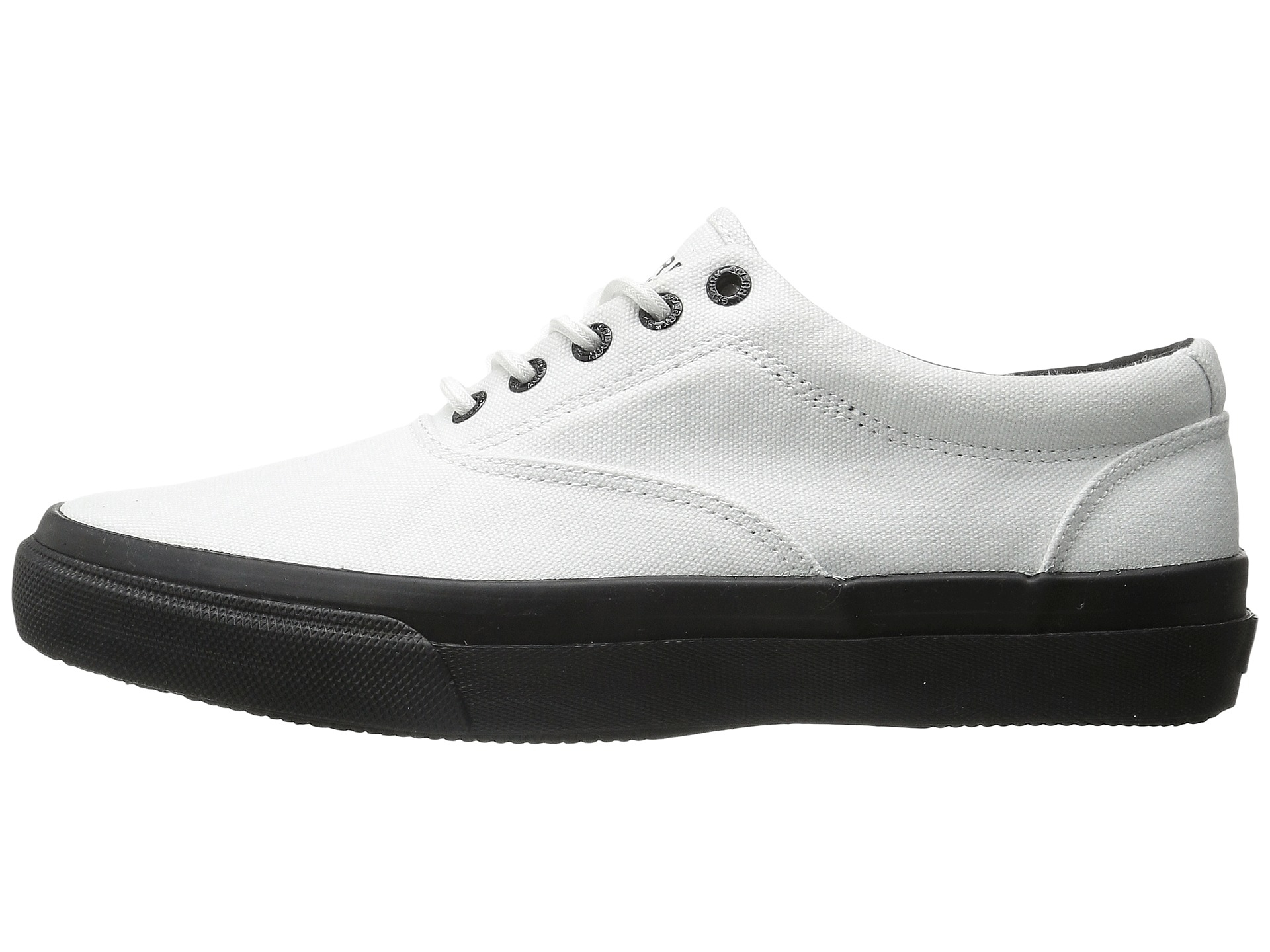 sperry cvo white