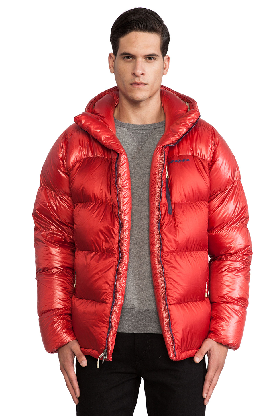 Patagonia Fitz Roy Down Parka in Red for Men | Lyst