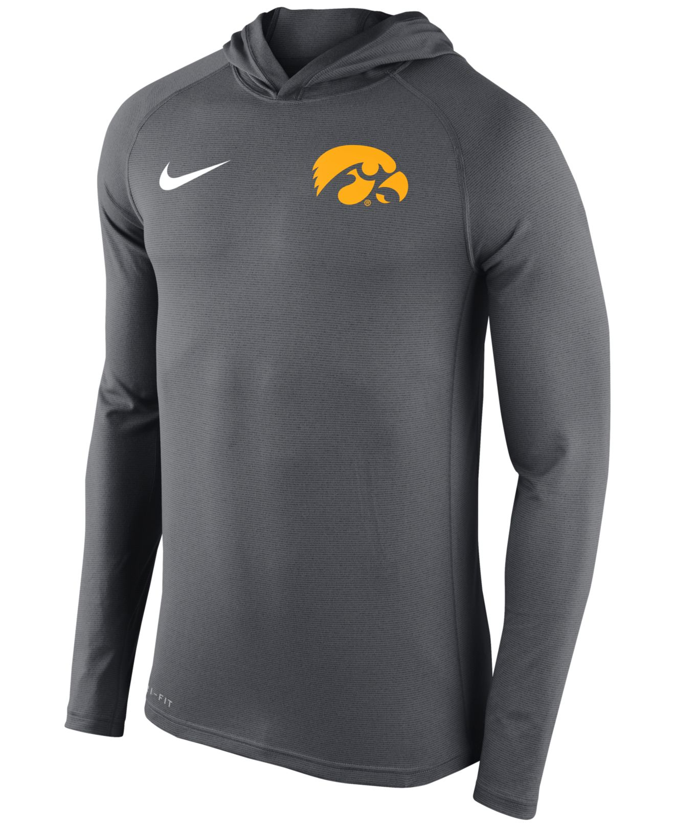 Nike Men's Iowa Hawkeyes Stadium Dri-fit Touch Hoodie in Gray for Men ...