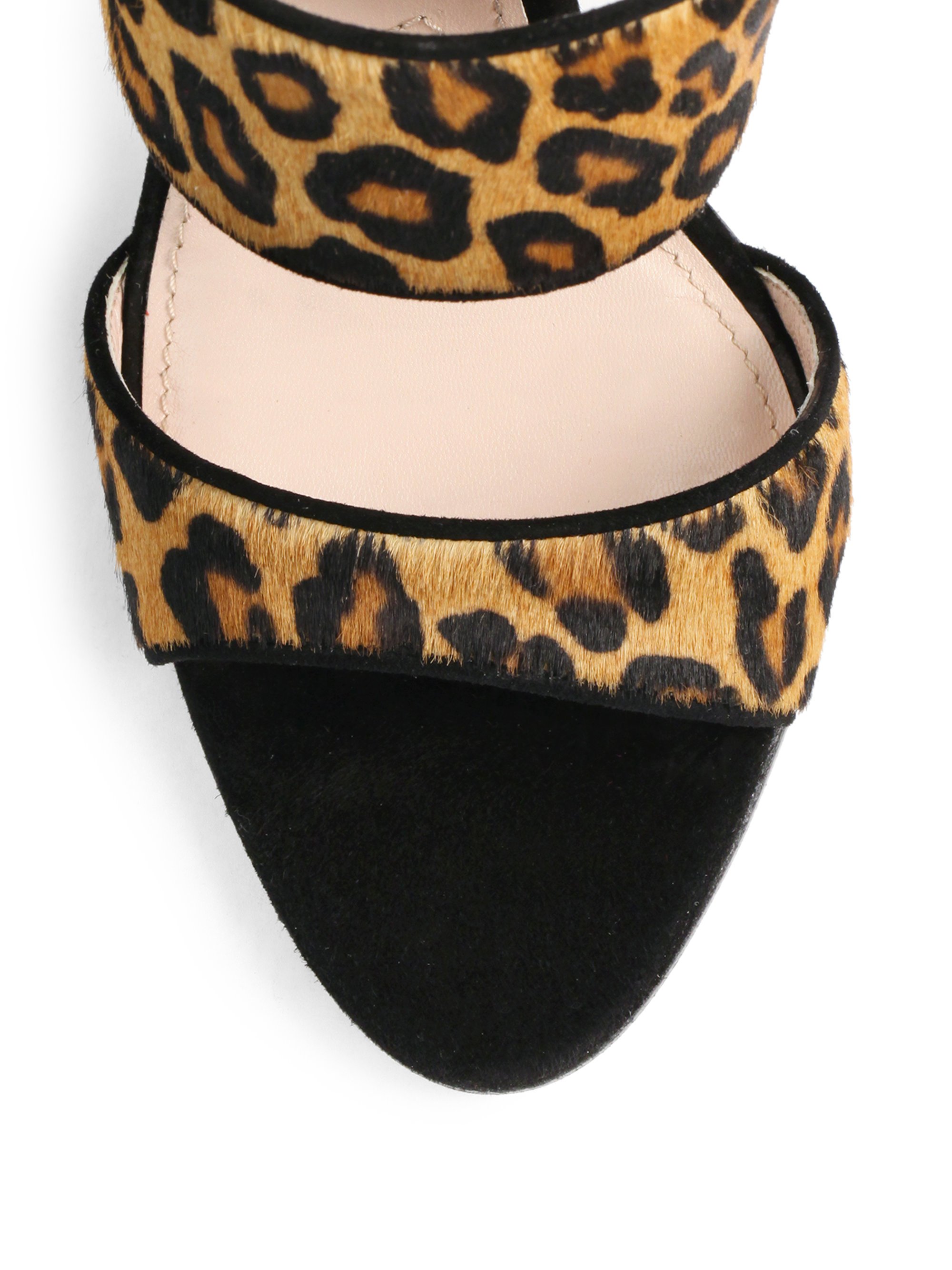 Lyst - Miu Miu Leopard-Print Calf Hair Banded Sandals