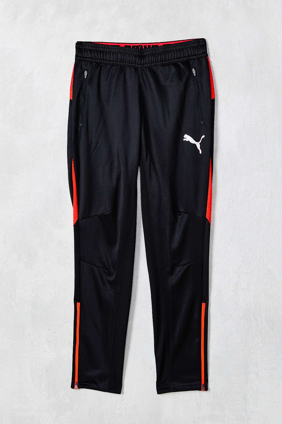 puma men's flicker pant