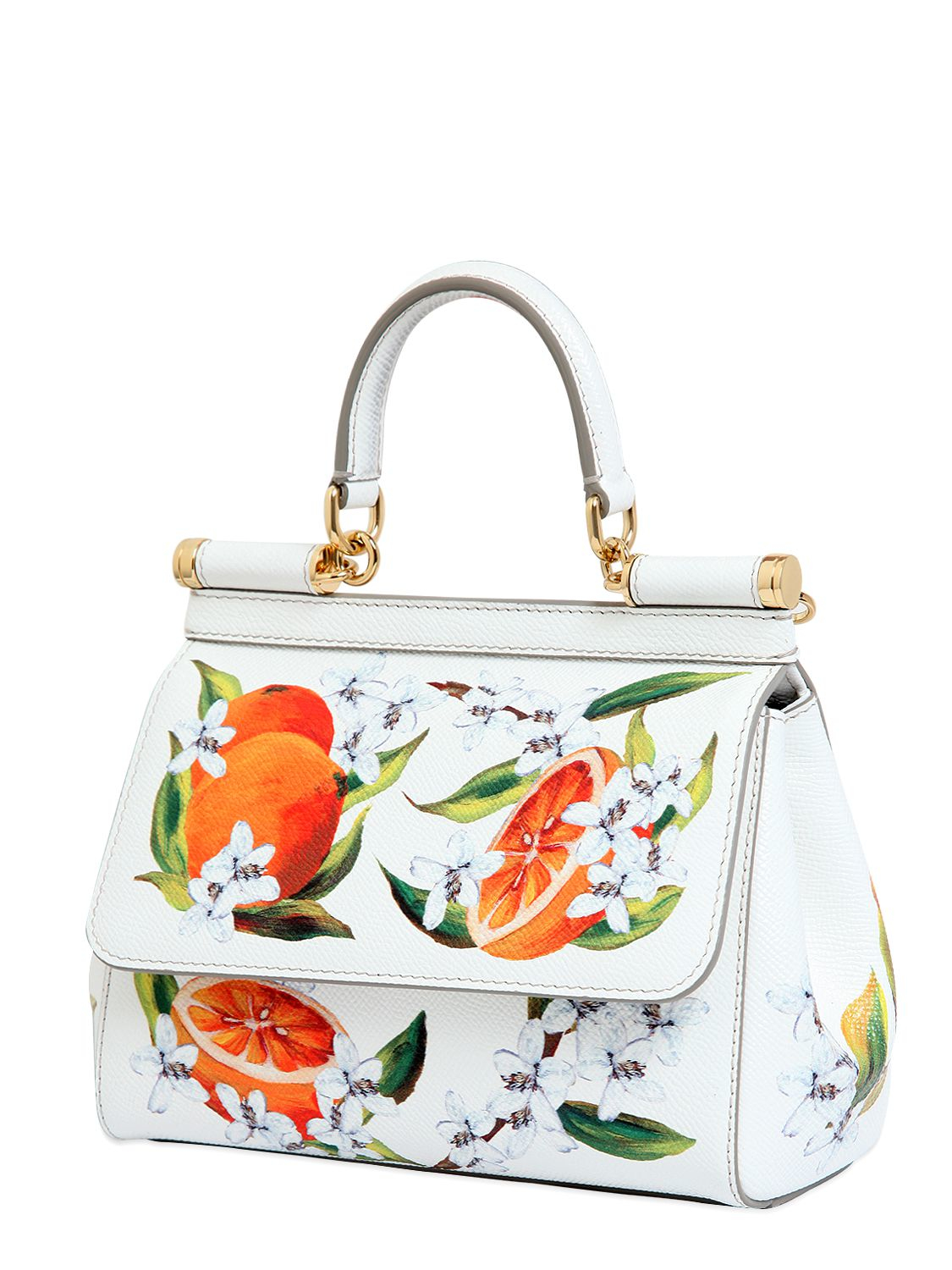 Fruit collection orange