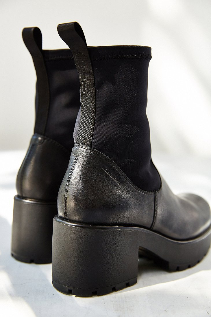 vagabond dioon stretch