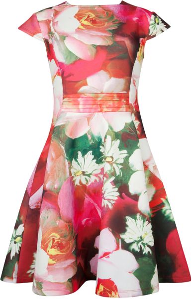 Ted Baker Roziey Rose Print Dress in Pink | Lyst