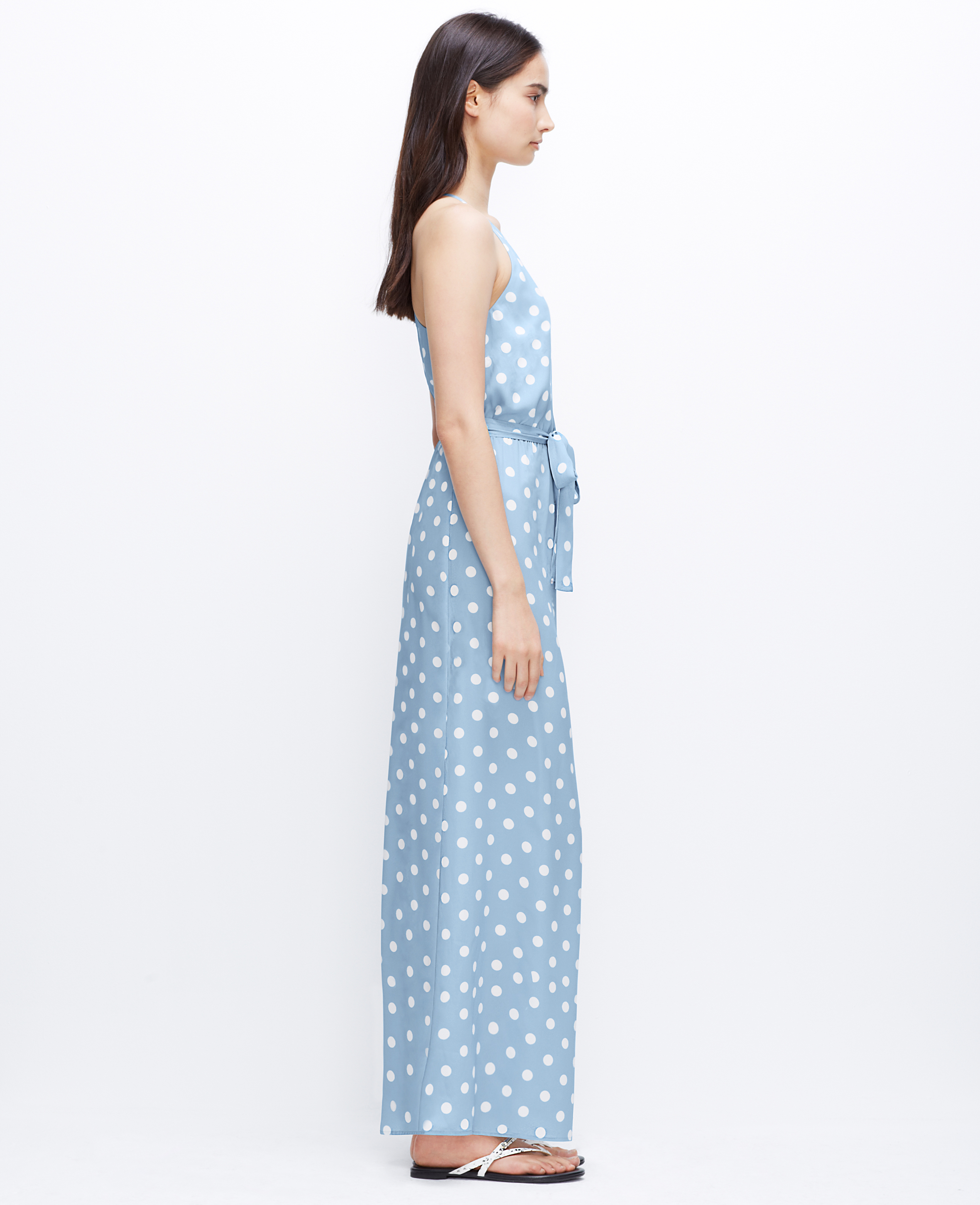 ann taylor maxi