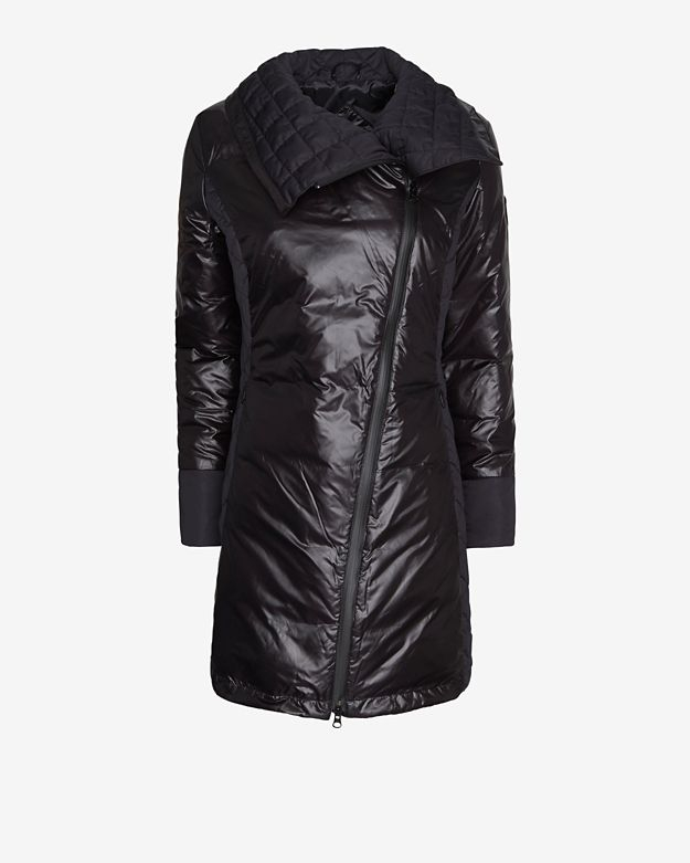 canada goose branta cassidy canada goose branta cassidy