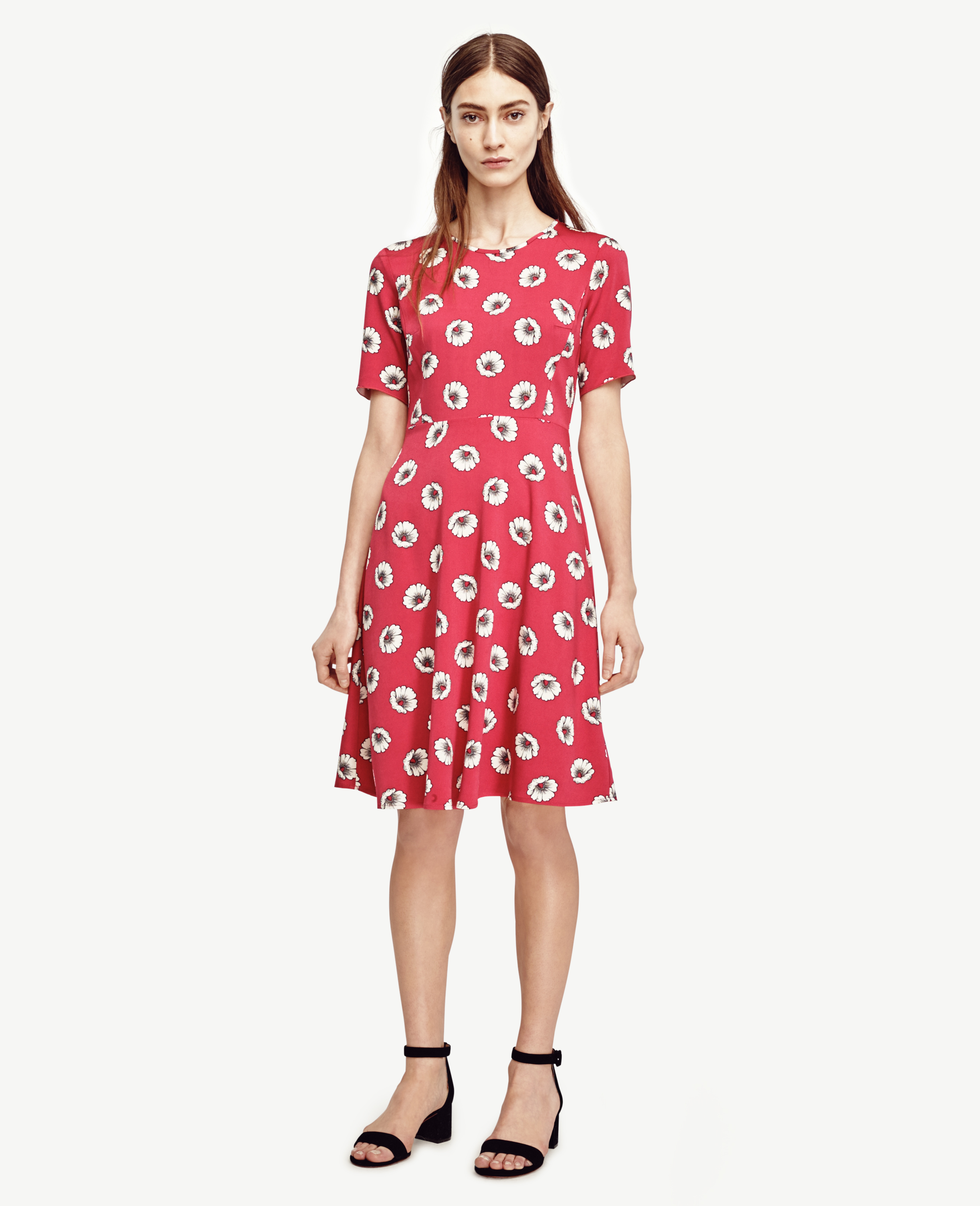 ann taylor floral dress