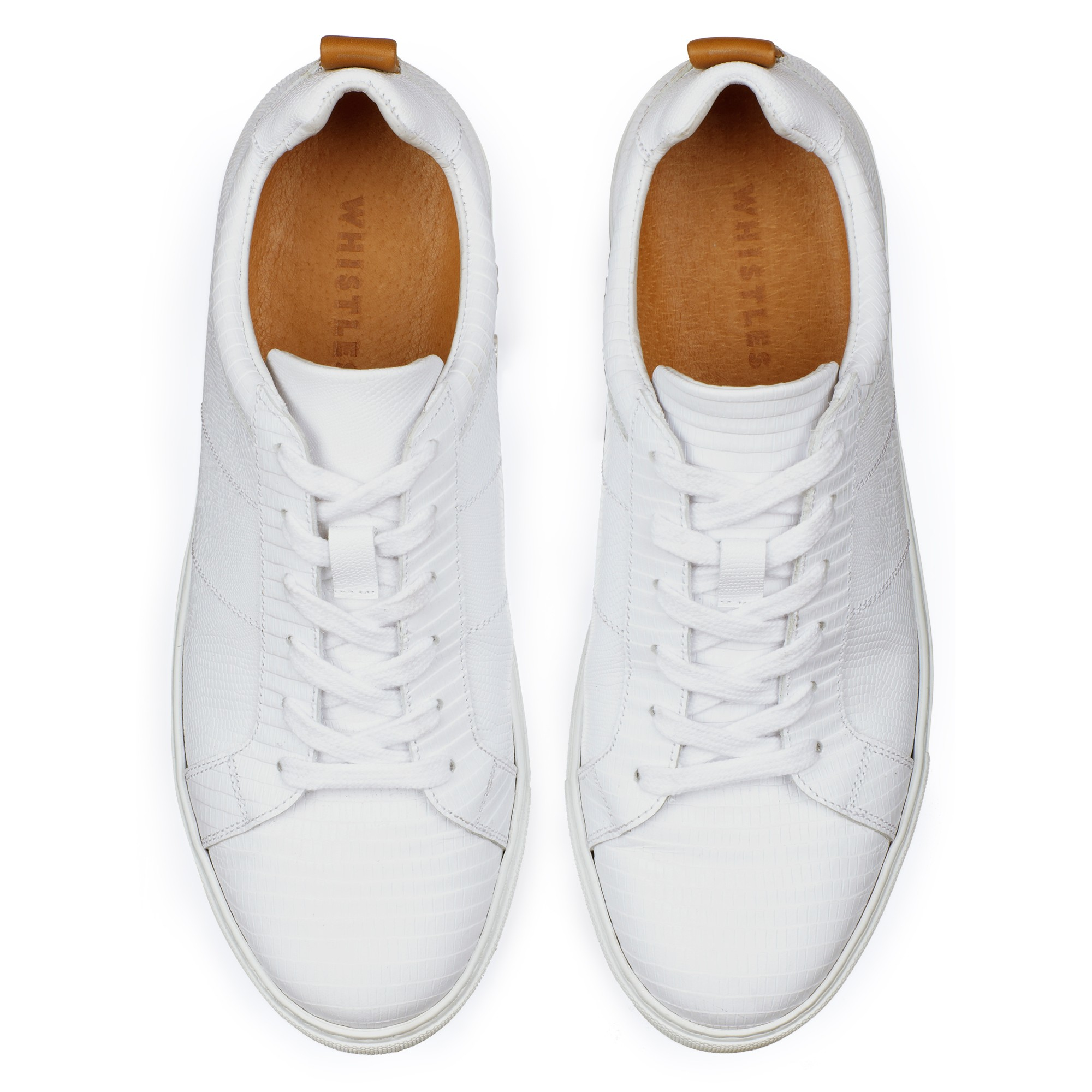 whistles koki trainer