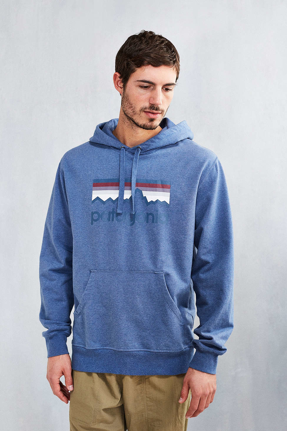 patagonia logo hoodie