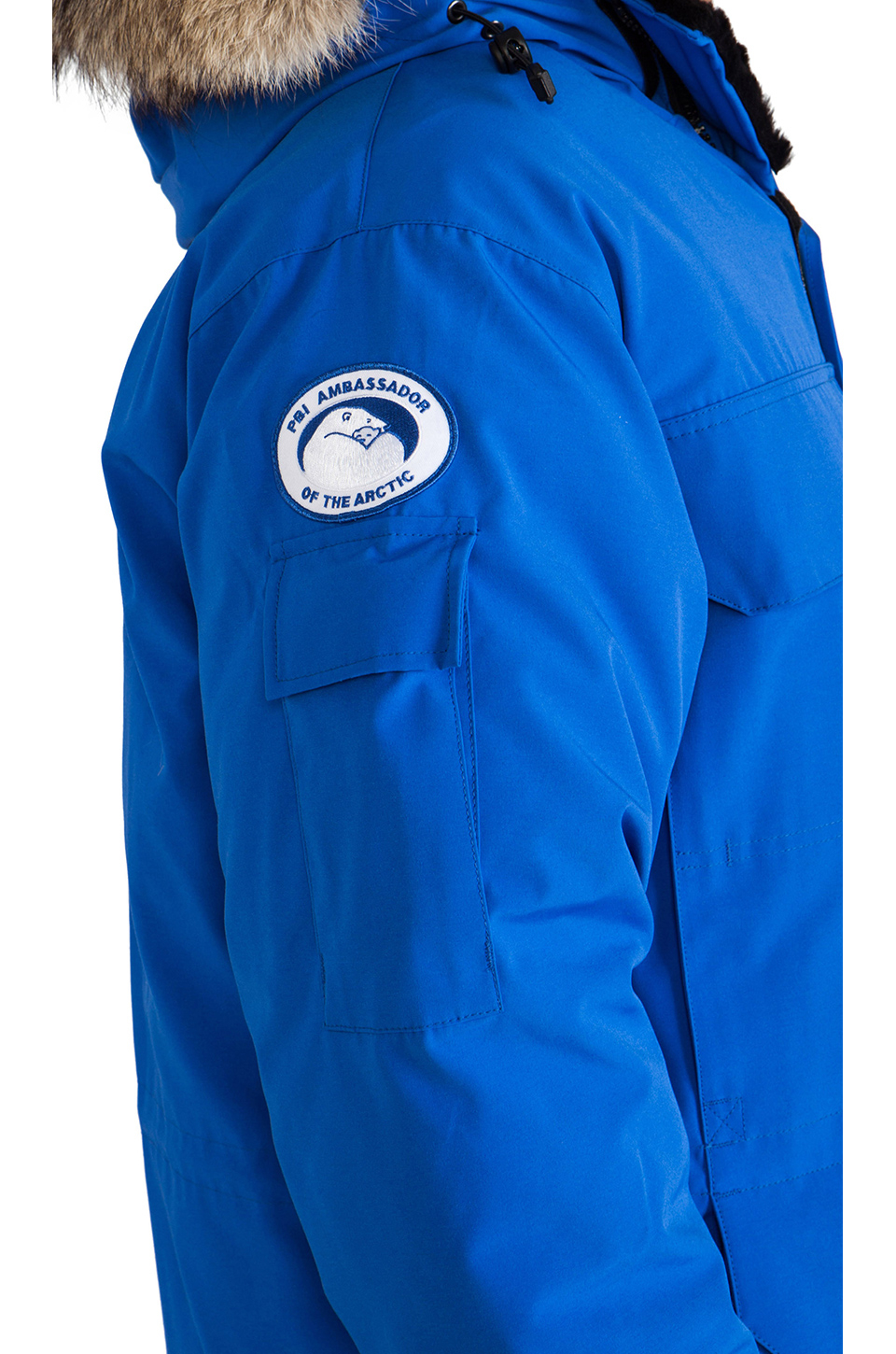 Canada goose polar bears international lodge hooded down jacket - clearance men's