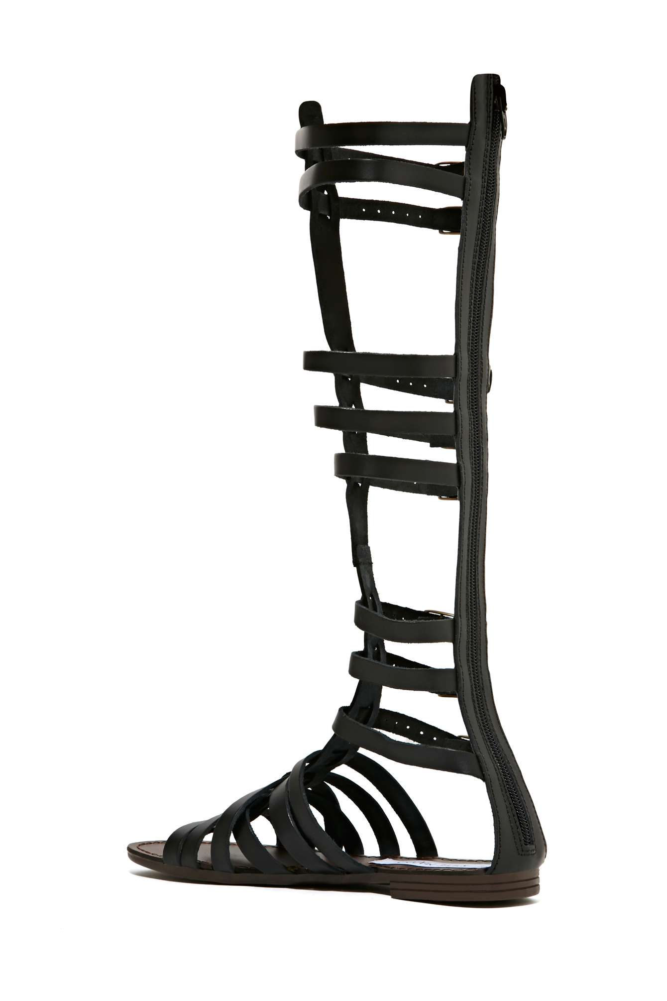 steve madden knee high gladiator sandals
