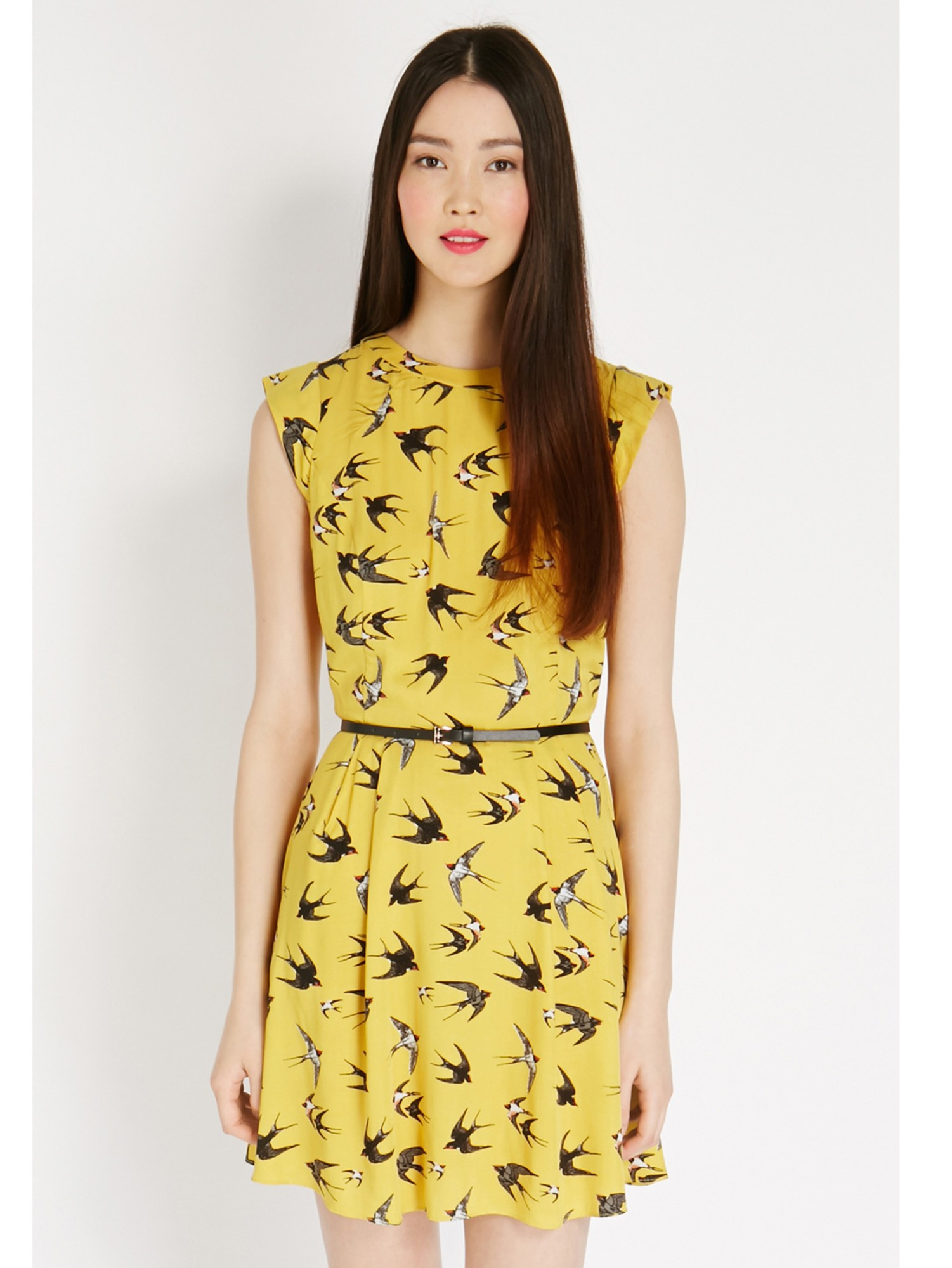 Birds Print Skater Dress in White | Clothes I need! | Pinterest