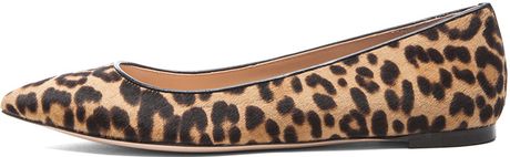 gianvito rossi leopard flats