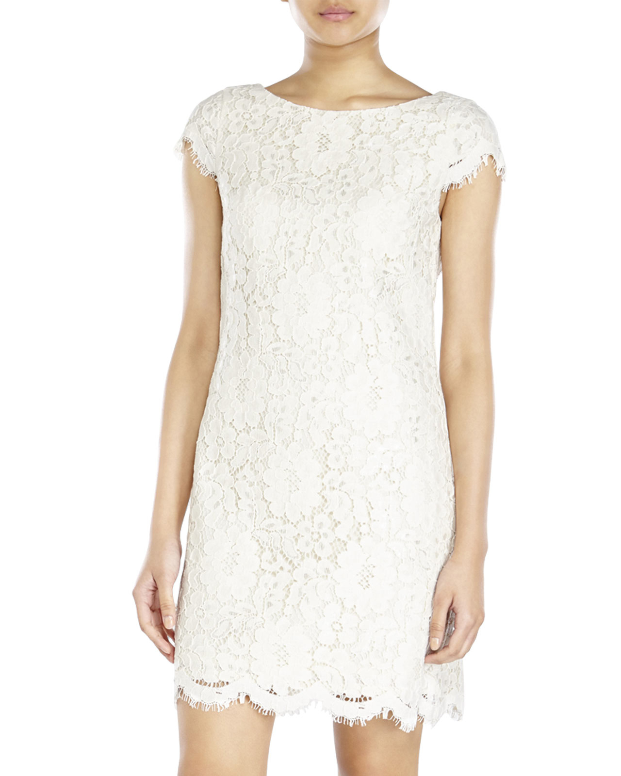 eliza j embroidered lace sheath dress