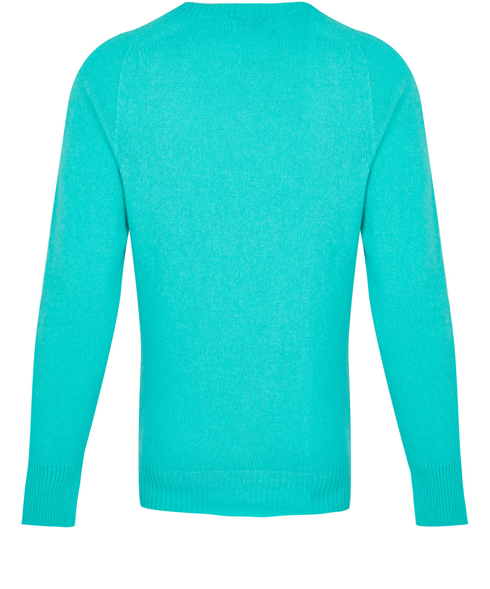 turquoise champion jumper