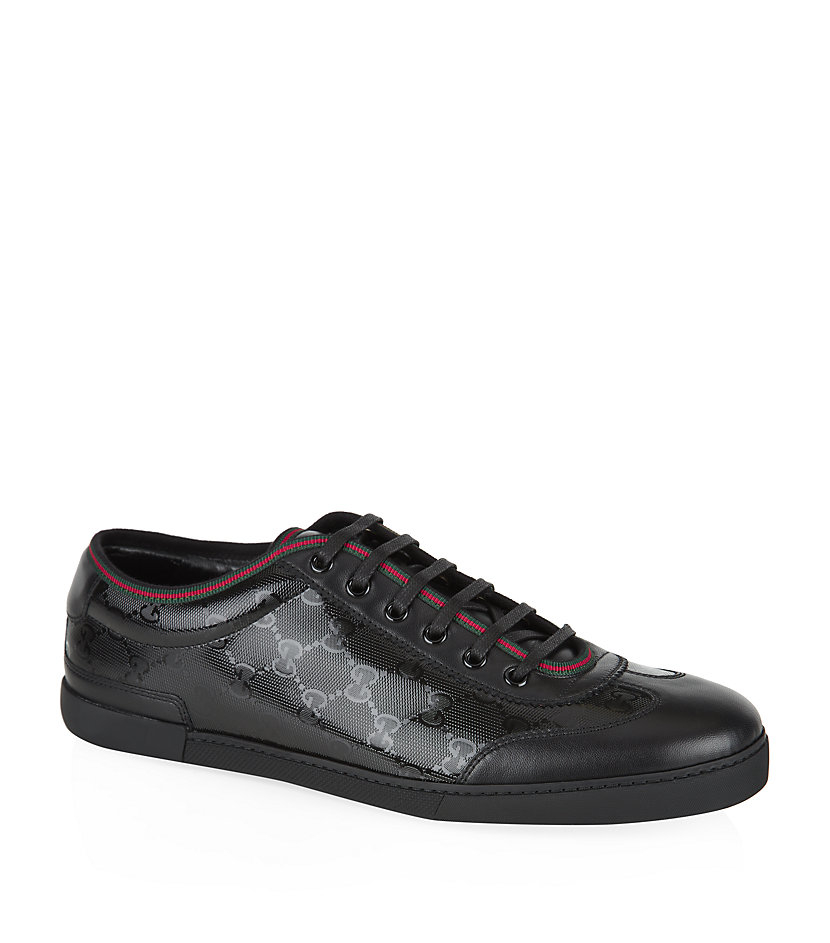 shiny gucci sneakers