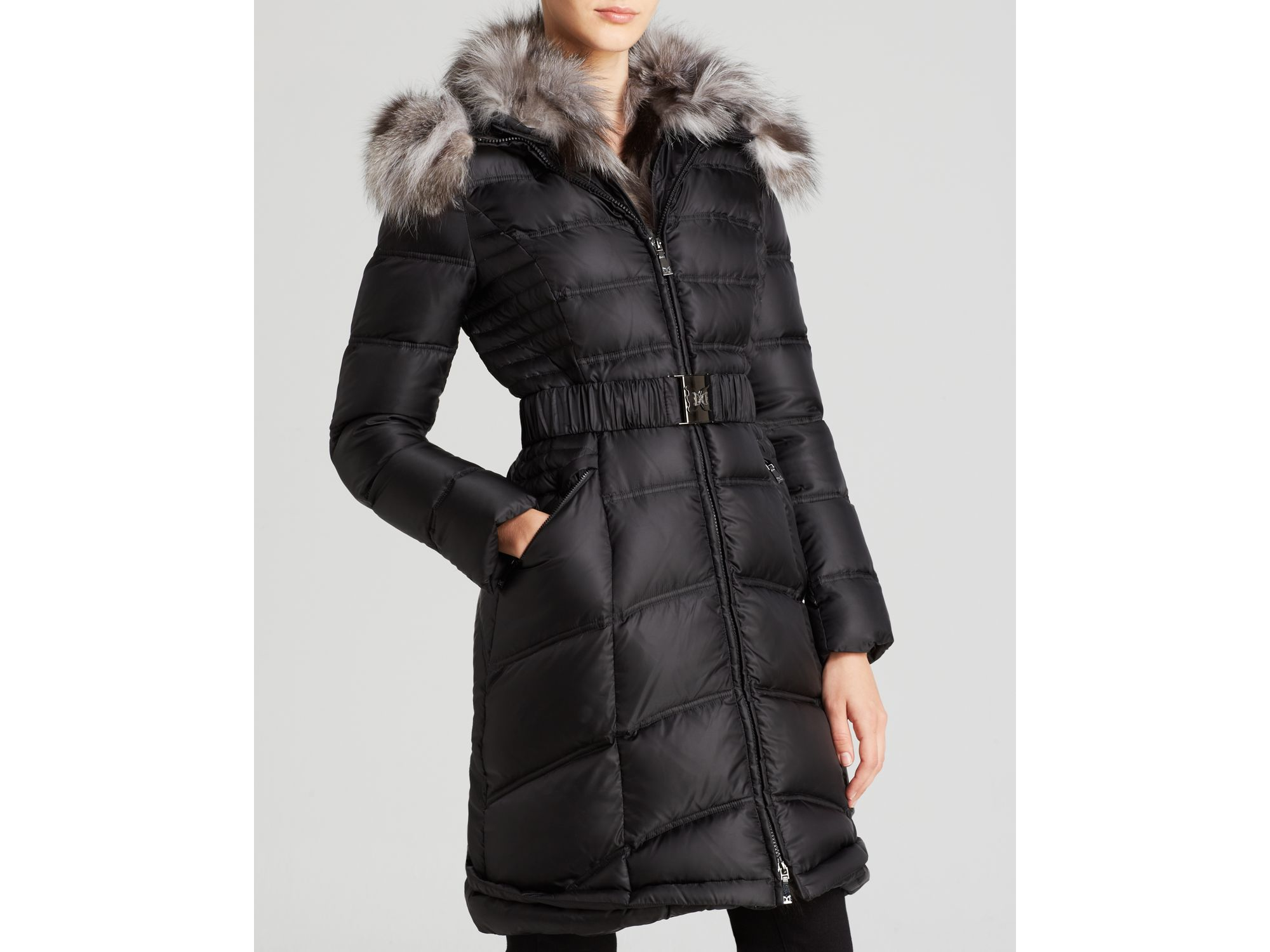 Dawn Levy Cat Clearance, 56% OFF | www 