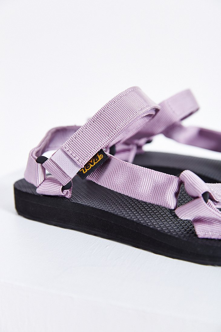 lilac tevas